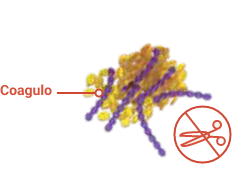 Without ADAMTS13, vWF strands grow out of control