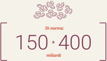 Numero normale di piastrine in 1 litro di sangue